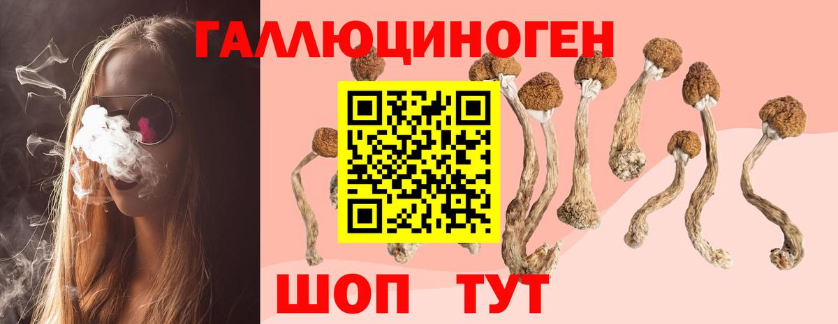 Псилоцибиновые грибы прущие грибы  Вход с VPN  Партизанск  Галлюциногенные грибы мицелий 